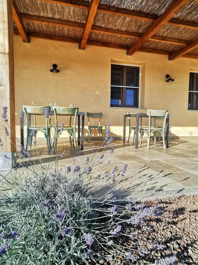 Agriturismo Casa Ricci Маляно ин Тоскана Екстериор снимка
